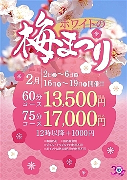 [お店ニュース画像]