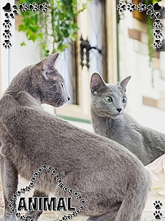 ☆あお姫☆