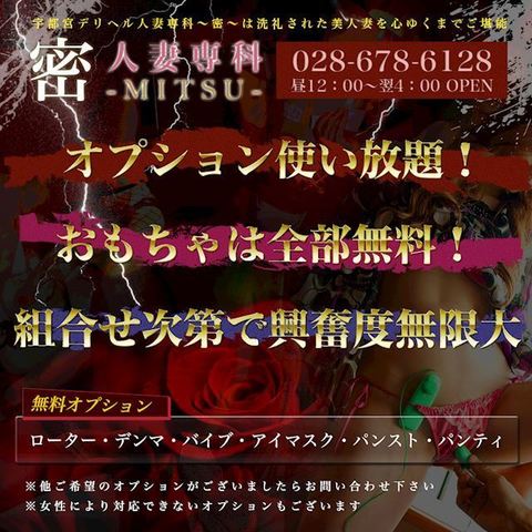 【オプション完全無料】【オプション使い放題】