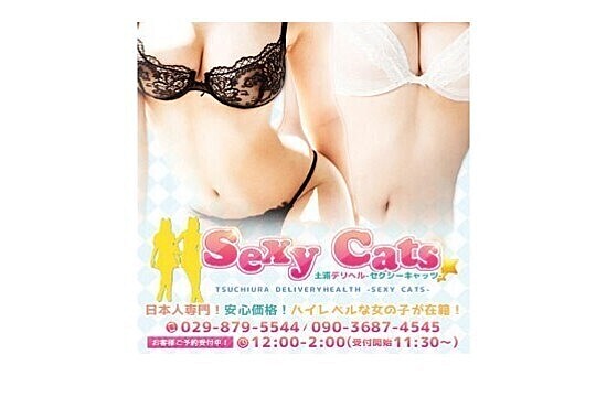 Sexy.Cats～セクシーキャッツ～