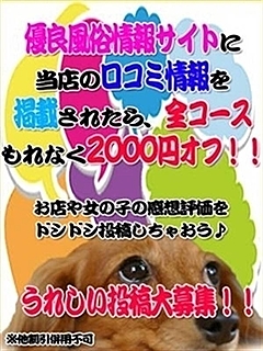 超お得！！2000円OFF♪