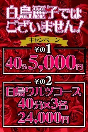 激アツキャンペーン内容について!