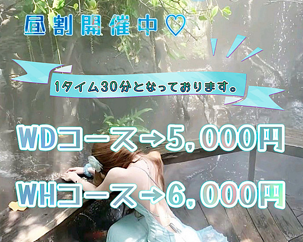 [割引クーポン画像]