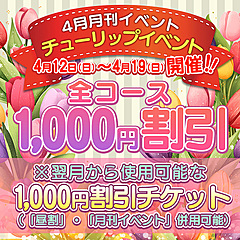 [お店紹介画像] ハナミズキ