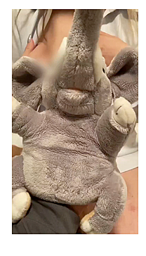 パオぞうと、かな先生2