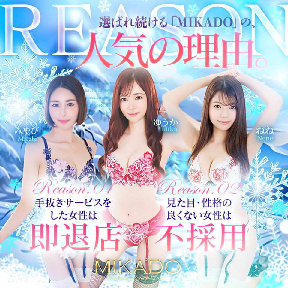 [お店紹介画像] MIKADO